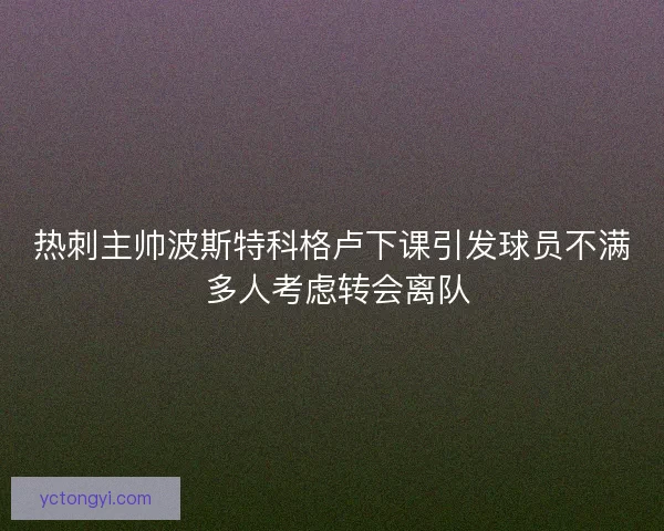 热刺主帅波斯特科格卢下课引发球员不满 多人考虑转会离队 热刺主帅波斯特科格卢下课引发球员不满 多人考虑转会离队