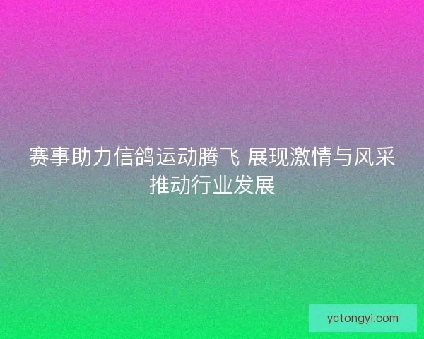 赛事助力信鸽运动腾飞 展现激情与风采推动行业发展