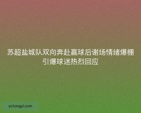 苏超盐城队双向奔赴赢球后谢场情绪爆棚引爆球迷热烈回应